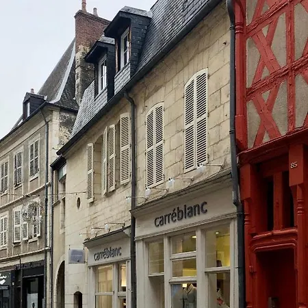 Appartement Le Grand Mirebeau à Bourges Extérieur photo